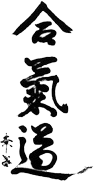 Aikido kanji